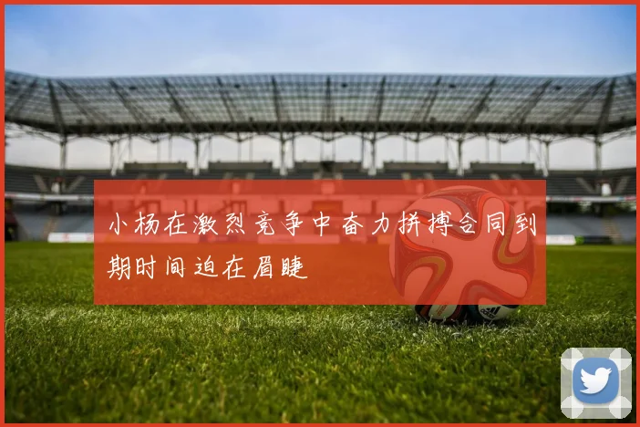 小杨在激烈竞争中奋力拼搏合同到期时间迫在眉睫